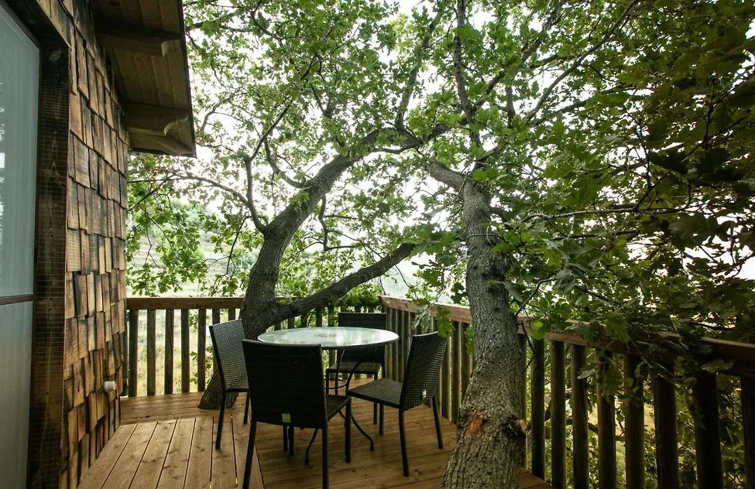 Le casette sull'albero di VILLA ALBA-1