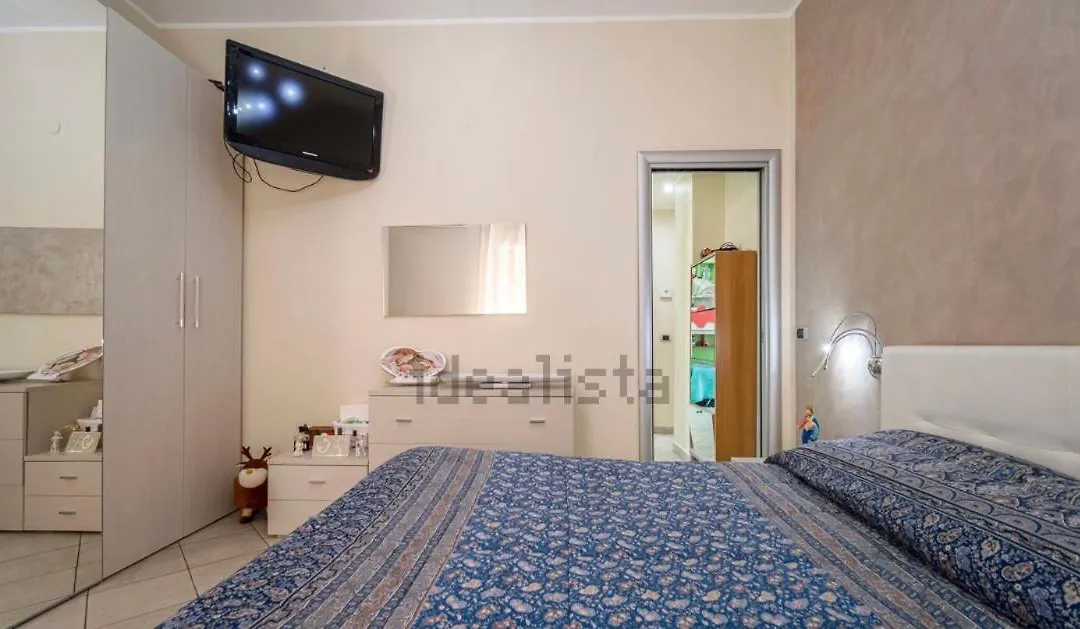 Softy House-1
