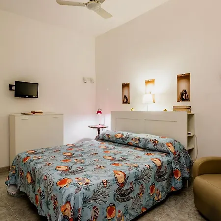 Coralie House-3
