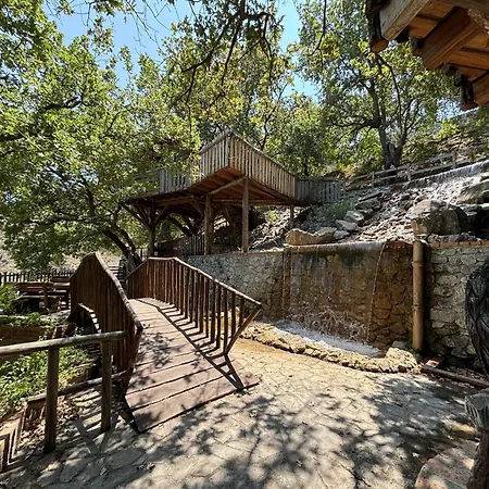 Le casette sull'albero di VILLA ALBA-3